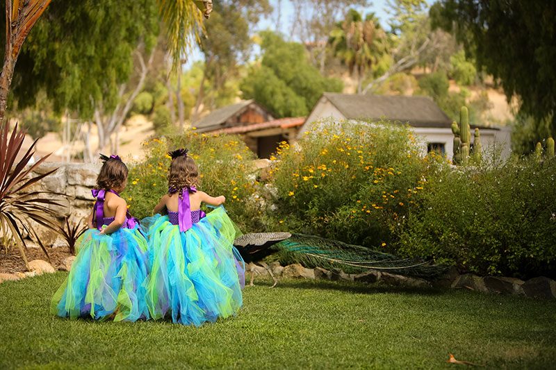Tip a hat to this peacock, cowboys, and cacti wedding in San Diego