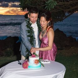 Lin Lin AngelaNelsonPhotography VibrantKukahikoEstateWedding0053 big - Pink skies and a pink dress at this glowing beach wedding in Maui Pink skies and a pink dress at this glowing Maui beach wedding