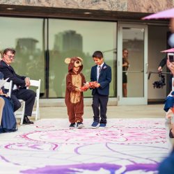 12 - Constellations, a dragon cake, and BEARS at this Chicago planetarium wedding Constellations, a dragon cake, and BEARS at this Chicago planetarium wedding