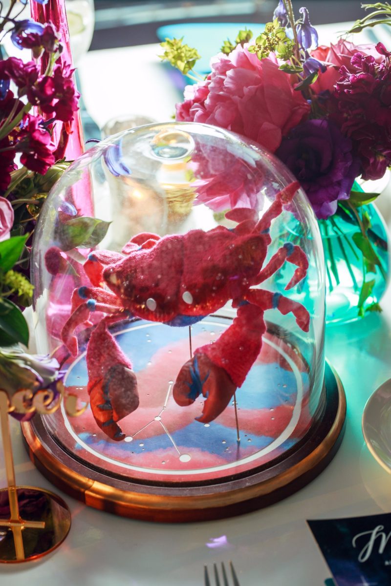 21 - Constellations, a dragon cake, and BEARS at this Chicago planetarium wedding Constellations, a dragon cake, and BEARS at this planetarium wedding in Chicago