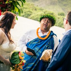 Two film lovers had a Hawaiian Jurassic Park wedding at the REAL film location
