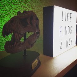 Two film lovers had a Hawaiian Jurassic Park wedding at the REAL film location