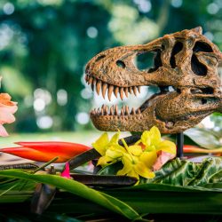 Two film lovers had a Hawaiian Jurassic Park wedding at the REAL film location