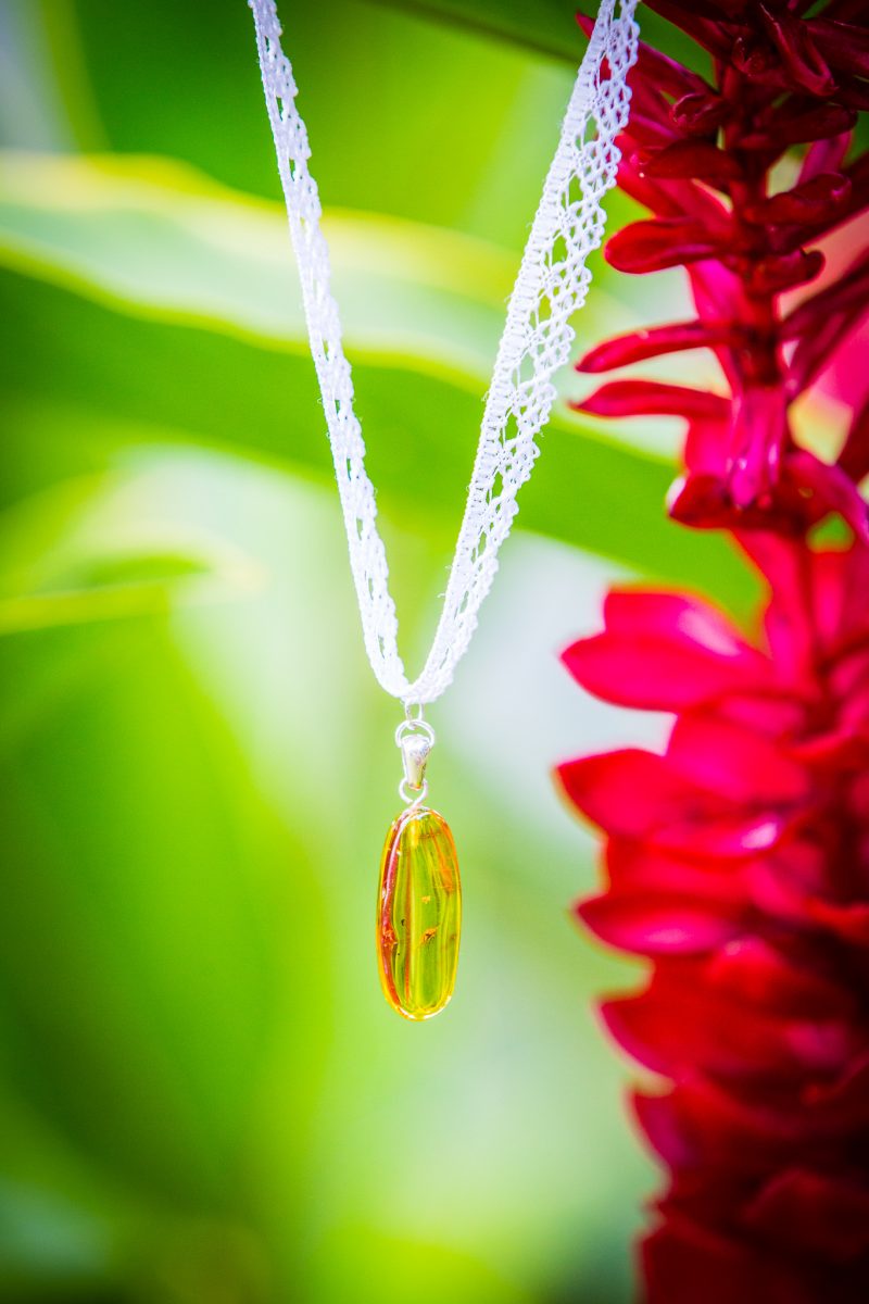 Two film lovers had a Hawaiian Jurassic Park wedding at the REAL film location