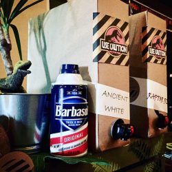Two film lovers had a Hawaiian Jurassic Park wedding at the REAL film location