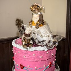 A fantastical villainous Candyland sideshow music fest wedding
