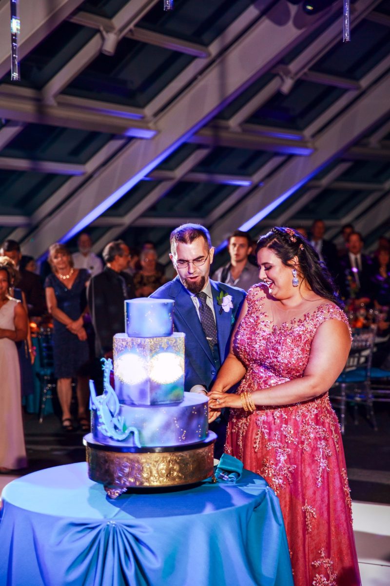 alex glenn 843 - Constellations, a dragon cake, and BEARS at this Chicago planetarium wedding Constellations, a dragon cake, and BEARS at this planetarium wedding in Chicago