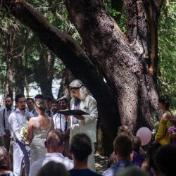 06212017 SarahMichael JuliaLuckettPhotography 158 - A rural California rock 'n' roll family wedding under the stars A rural California rock 'n' roll family wedding under the stars