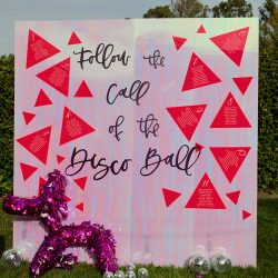 1W8A1319 - Unicorns & pink everything at this sparkly, over-the-top disco party wedding Unicorns & pink everything at this sparkly, over-the-top disco party wedding