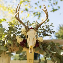 A casually elegant BBQ wedding in their own backyard