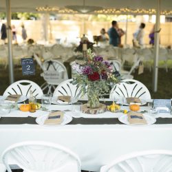 A casually elegant BBQ wedding in their own backyard
