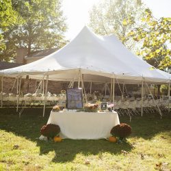 A casually elegant BBQ wedding in their own backyard