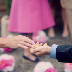Kelly Rich 262 - An intimate botanical wedding in Pennsylvania with splashes of DIYed color An intimate botanical wedding in Pennsylvania with splashes of DIYed color
