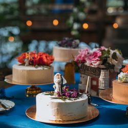 073 - This wedding was all about fairy garden meets Godzilla realness This wedding was all about fairy garden meets Godzilla realness