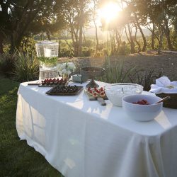 This Sonoma County destination wedding itinerary will have you scrambling to plan a wine country wedding
