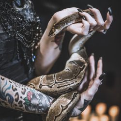 GothicWedding 019 - Goth gone LUXE with sparkle, faux fur, and rich reds at this goth wedding inspiration Goth gone LUXE with sparkle, faux fur, and rich reds at this goth wedding inspiration