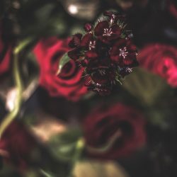GothicWedding 091 - Goth gone LUXE with sparkle, faux fur, and rich reds at this goth wedding inspiration Goth gone LUXE with sparkle, faux fur, and rich reds at this goth wedding inspiration