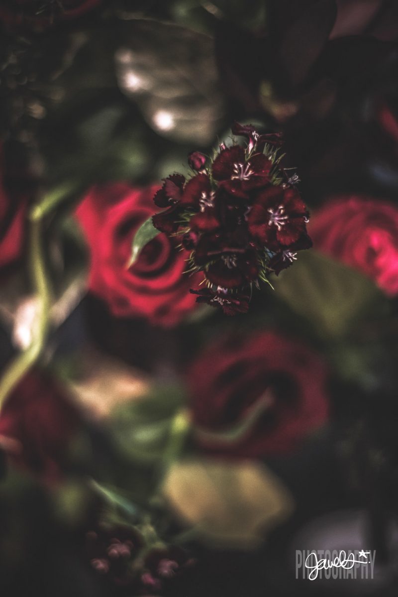 Goth gone LUXE with sparkle, faux fur, and rich reds at this goth wedding inspiration
