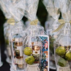 Jonas Seaman OffBeatBride 1016 - A backyard garden party wedding with yard games & cocktail recipe cards A backyard garden party wedding with yard games & cocktail recipe cards