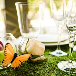 Schwab Collins CreatrixPhotography CreatrixPhotography68of408 big - So much magic at this butterfly themed wedding in a sculpture garden So much magic at this butterfly themed wedding in a sculpture garden
