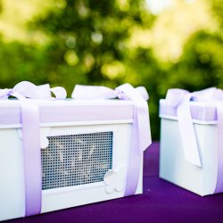 Schwab Collins CreatrixPhotography CreatrixPhotography80of408 big - So much magic at this butterfly themed wedding in a sculpture garden So much magic at this butterfly themed wedding in a sculpture garden