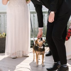 31125187348 fce385d6b5 k - Get ready to lose your shit after seeing this Rocky Mountain radish realness wedding Get ready to lose you shit after seeing this Rocky Mountain radish realness wedding