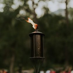 AnnieHallPhotography 278 - When a rustic forest wedding met red, black, and metal When a rustic forest wedding met red, black, and metal