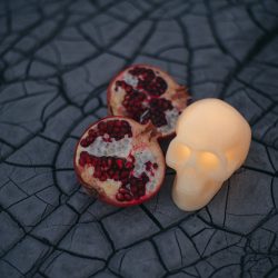 ParenthesisPhotography parenthesisphotographyanatomy00084 big - Anatomy meets embroidery at this creepy-stylish and moody wedding inspiration Anatomy meets embroidery at this creepy-stylish and moody wedding inspiration
