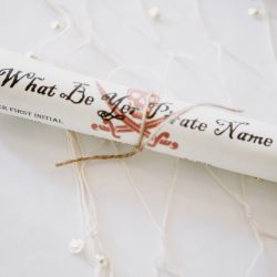 Roberts Atwell JanetHowardStudio Atwell0609 big - Land ho! Get yer sea legs for this pirate wedding in Wisconsin Pirate themed Wedding