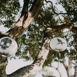 letsfrolictogether 20170812 0050 - A darkly eclectic jam session wedding with tux shirts & In-n-Out A darkly ecelectic jam session wedding with tux shirts & In-n-Out