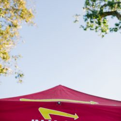 letsfrolictogether 20170812 0070 - A darkly eclectic jam session wedding with tux shirts & In-n-Out A darkly ecelectic jam session wedding with tux shirts & In-n-Out