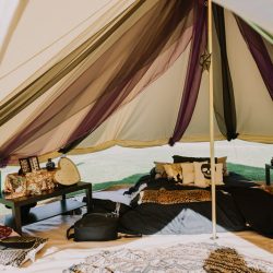 letsfrolictogether 20170812 0081 - A darkly eclectic jam session wedding with tux shirts & In-n-Out A darkly ecelectic jam session wedding with tux shirts & In-n-Out