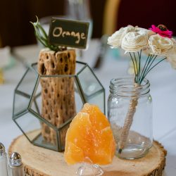 Turtles! Brunch! Dogs in ties! This rainbow lesbian wedding is all about furever love