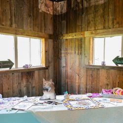 Turtles! Brunch! Dogs in ties! This rainbow lesbian wedding is all about furever love