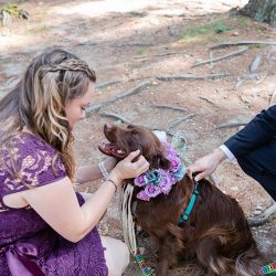 Turtles! Brunch! Dogs in ties! This rainbow lesbian wedding is all about furever love