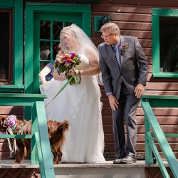 Turtles! Brunch! Dogs in ties! This rainbow lesbian wedding is all about furever love