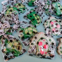 Turtles! Brunch! Dogs in ties! This rainbow lesbian wedding is all about furever love