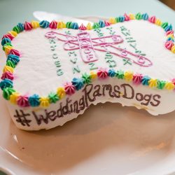 Turtles! Brunch! Dogs in ties! This rainbow lesbian wedding is all about furever love
