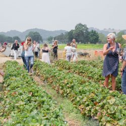 ©Krista Marie Photography 593 - Be blown away by this wine country destination wedding itinerary (Part 2!) ©Krista Marie Photography 593