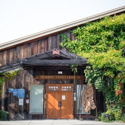 ©Krista Marie Photography 673 - Be blown away by this wine country destination wedding itinerary (Part 2!) An unparalleled wine country destination wedding itinerary in Sonoma County, CA (Part 2!)