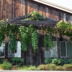 ©Krista Marie Photography 675 - Be blown away by this wine country destination wedding itinerary (Part 2!) ©Krista Marie Photography 675