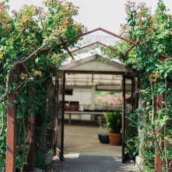 ©Krista Marie Photography 869 - Be blown away by this wine country destination wedding itinerary (Part 2!) ©Krista Marie Photography 869