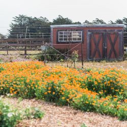 ©Krista Marie Photography 900 - Be blown away by this wine country destination wedding itinerary (Part 2!) ©Krista Marie Photography 900