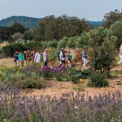 ©Krista Marie Photography 901 - Be blown away by this wine country destination wedding itinerary (Part 2!) An unparalleled wine country destination wedding itinerary in Sonoma County, CA (Part 2!)
