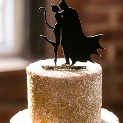 A Biltmore Estate library-inspired wedding with lots of BATMAN
