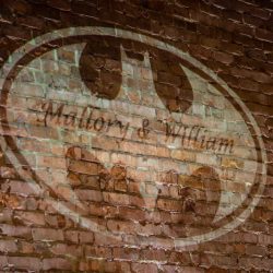 A Biltmore Estate library-inspired wedding with lots of BATMAN