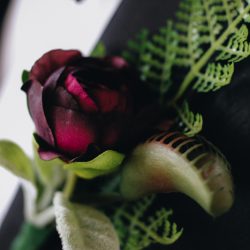 ChettaraTPhotography Halloween Wedding 3312 - Venus flytraps and forever love at this haunting inspiration wedding Venus flytraps and forever love at this haunting inspiration wedding