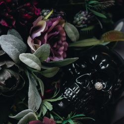 ChettaraTPhotography Halloween Wedding 3350 - Venus flytraps and forever love at this haunting inspiration wedding Venus flytraps and forever love at this haunting inspiration wedding