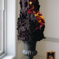 ChettaraTPhotography Halloween Wedding 3915 - Venus flytraps and forever love at this haunting inspiration wedding Venus flytraps and forever love at this goth wedding shoot