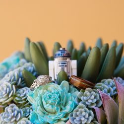A magical blend of cultures: a Navajo Irish mountain wedding meets Star Wars